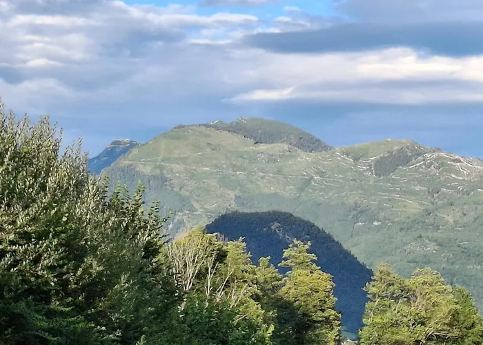 Alpine Near Daire Bad Ischl