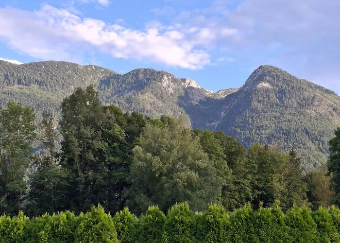 Alpine Near Apartmán